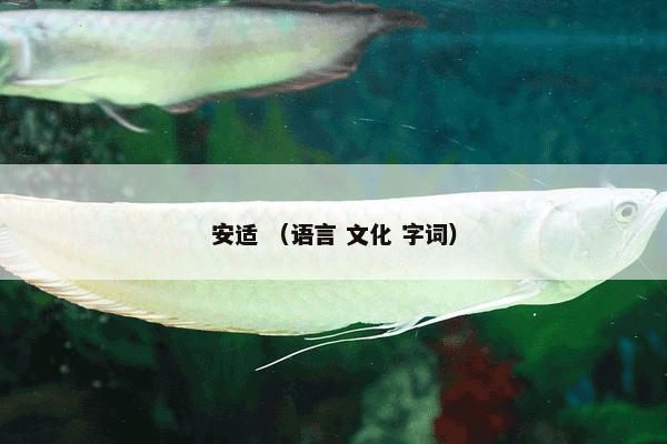 安适怎么理解？安适属于（语言和文化和字词）