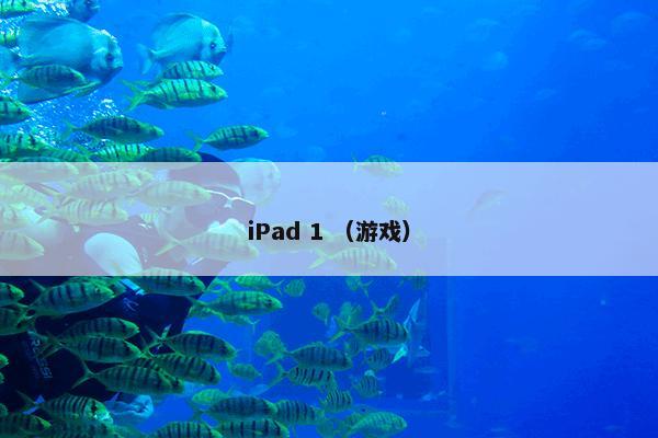 iPad 1怎么理解？iPad 1属于（游戏）