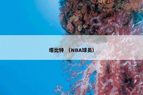 塔比特怎么理解？塔比特属于（NBA球员）