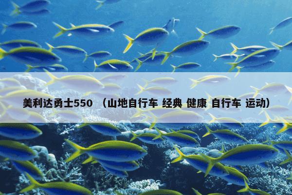 美利达勇士550怎么理解？美利达勇士550属于（山地自行车和经典和健康和自行车和运动）