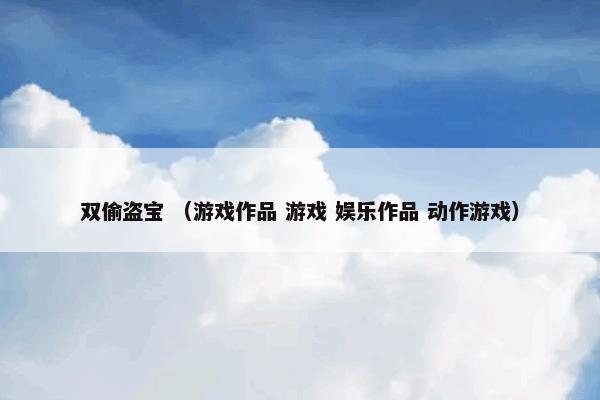 双偷盗宝怎么理解？双偷盗宝属于（游戏作品和游戏和娱乐作品和动作游戏）