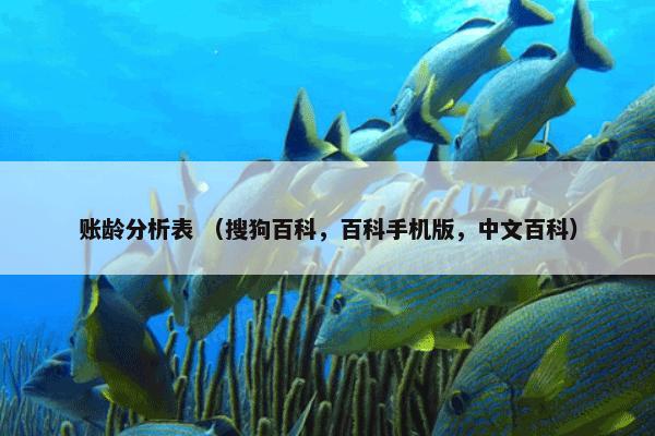 账龄分析表是什么意思？账龄分析表属于（百科手机版中文百科）