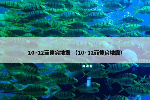 10·12菲律宾地震怎么理解？10·12菲律宾地震属于（10·12菲律宾地震）