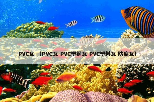 PVC瓦怎么理解？PVC瓦属于（PVC瓦和PVC塑钢瓦和PVC塑料瓦和防腐瓦）