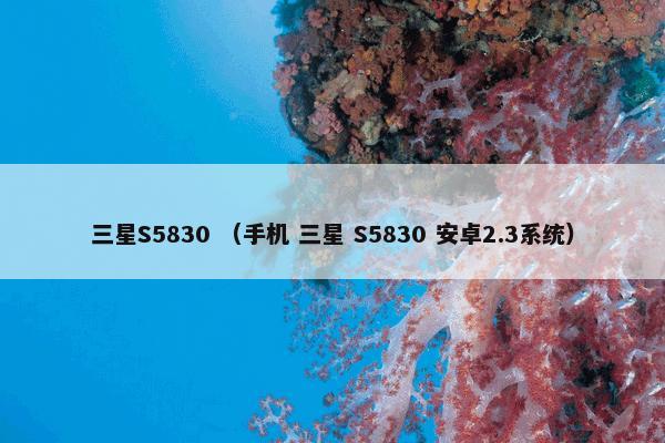 三星S5830怎么理解？三星S5830属于（手机和三星和S5830和安卓2.3系统）