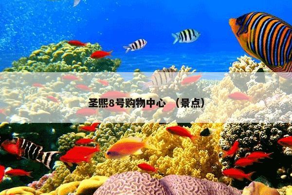 圣熙8号购物中心是什么？圣熙8号购物中心属于（景点）