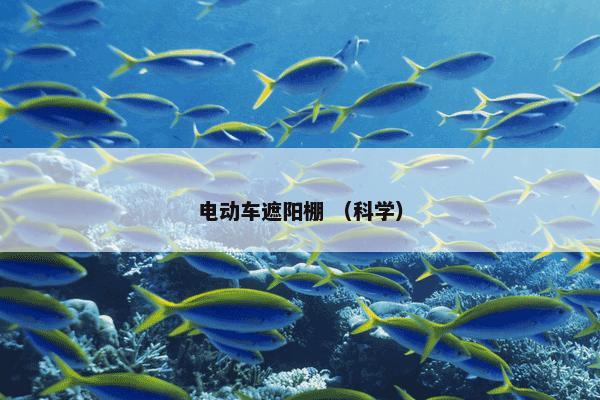 电动车遮阳棚是什么？电动车遮阳棚属于（科学）