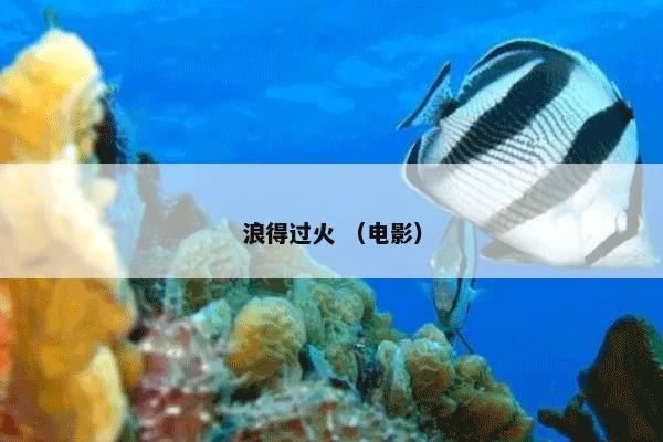 浪得过火是什么意思？浪得过火属于（电影）