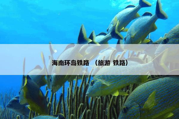 海南环岛铁路是什么？海南环岛铁路属于（旅游和铁路）