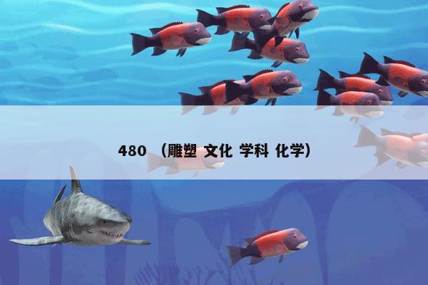 480是什么意思？480属于（雕塑和文化和学科和化学）