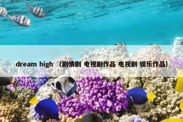 dream high是什么？dream high属于（剧情剧和电视剧作品和电视剧和娱乐作品）