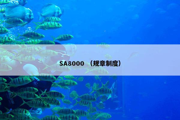 SA8000是什么？SA8000属于（规章制度）