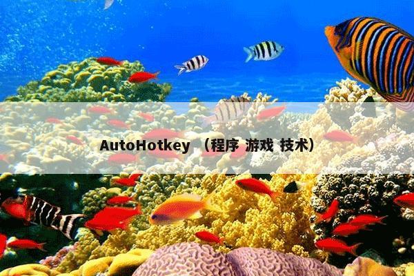 AutoHotkey怎么理解？AutoHotkey属于（程序和游戏和技术）