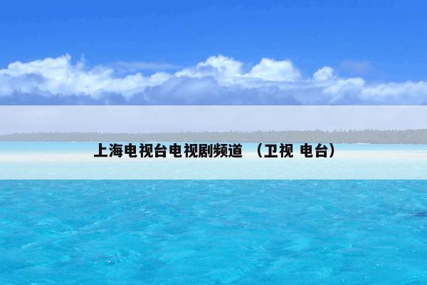 上海电视台电视剧频道是什么意思？上海电视台电视剧频道属于（卫视和电台）