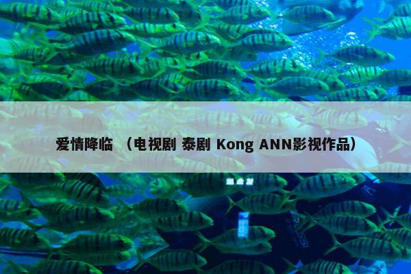 爱情降临怎么理解？爱情降临属于（电视剧和泰剧和Kong和ANN影视作品）