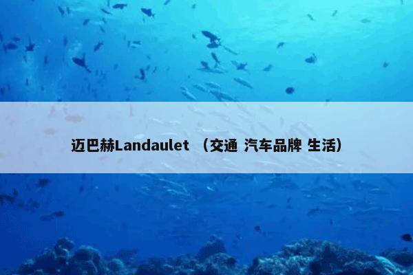 迈巴赫Landaulet怎么理解？迈巴赫Landaulet属于（交通和汽车品牌和生活）