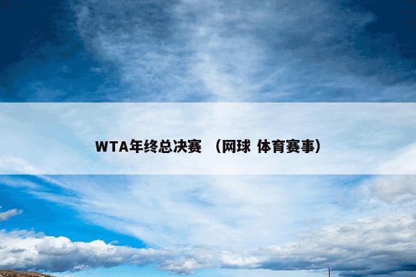 WTA年终总决赛 （网球 体育赛事）