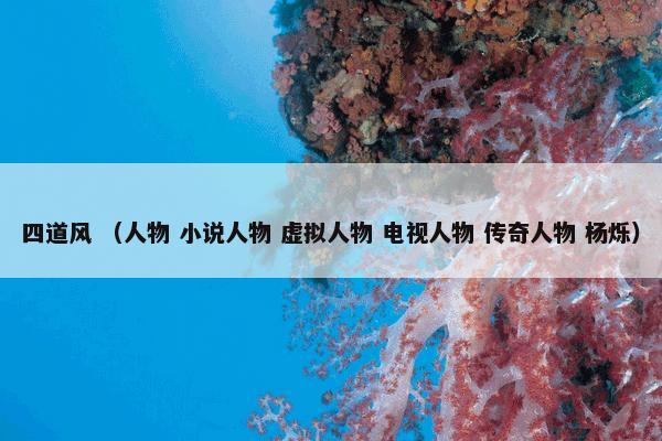 四道风是什么意思？四道风属于（人物和小说人物和虚拟人物和电视人物和传奇人物和杨烁）