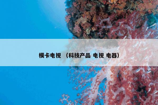 模卡电视是什么意思？模卡电视属于（科技产品和电视和电器）