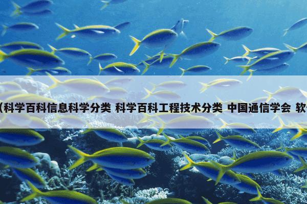 缓冲区溢出是什么？缓冲区溢出属于（科学百科信息科学分类和科学百科工程技术分类和中国通信学会和软件和科学和学科）