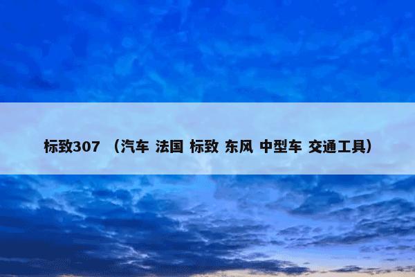 标致307是什么？标致307属于（汽车和法国和标致和东风和中型车和交通工具）