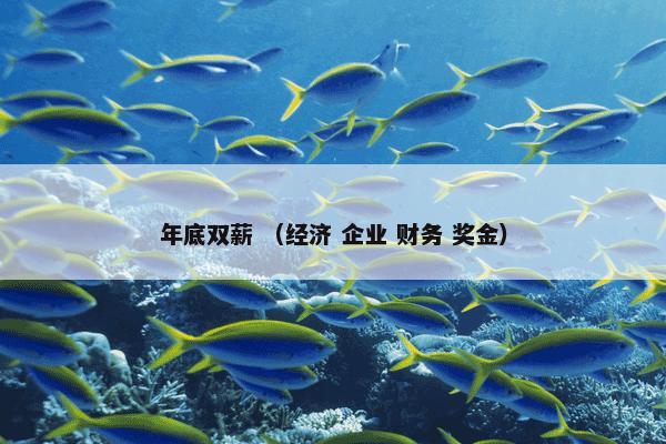 年底双薪怎么理解？年底双薪属于（经济和企业和财务和奖金）