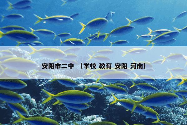 安阳市二中是什么？安阳市二中属于（学校和教育和安阳和河南）