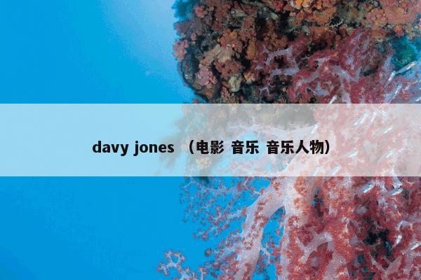 davy jones （电影 音乐 音乐人物）