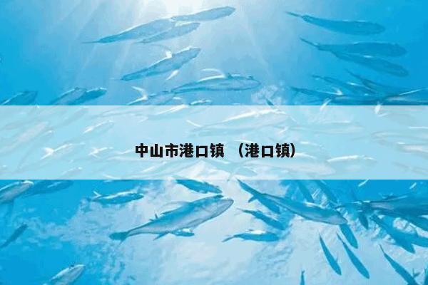 中山市港口镇是什么意思？中山市港口镇属于（港口镇）