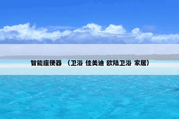 智能座便器 （卫浴 佳美迪 欧陆卫浴 家居）