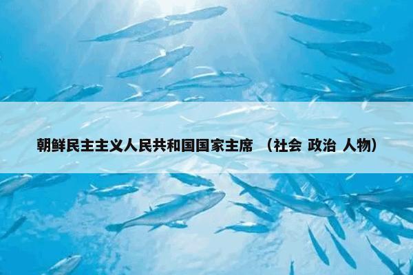 朝鲜民主主义人民共和国国家主席是什么？朝鲜民主主义人民共和国国家主席属于（社会和政治和人物）