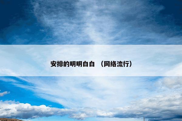 安排的明明白白是什么？相关安排的明明白白详细说明