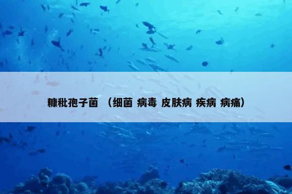 糠秕孢子菌是什么意思？有关糠秕孢子菌一起来了解