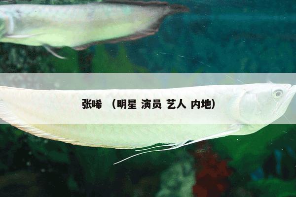 分离定律 （非生物 生物物种 学科）