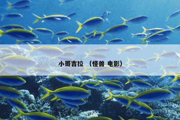 小哥吉拉 （怪兽 电影）