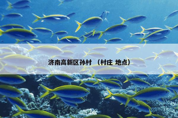 济南高新区孙村怎么理解？有关济南高新区孙村一起来看看