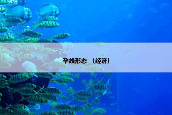 孕线形态 （经济）