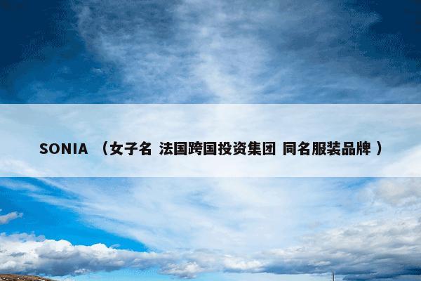 SONIA是什么意思？有关SONIA一起来了解