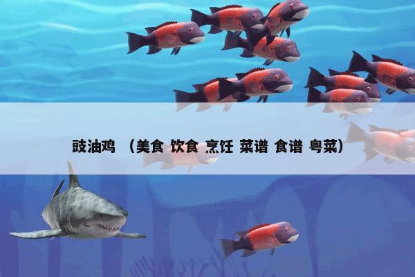 豉油鸡是什么意思？相关豉油鸡说明