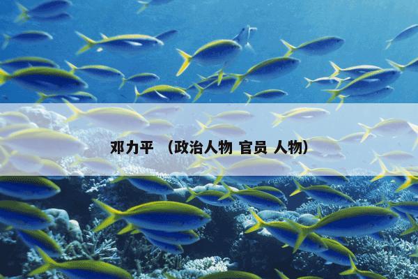 波普主义怎么理解？相关波普主义一起来看看