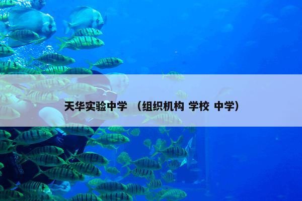 天华实验中学是什么意思？相关天华实验中学详细说明