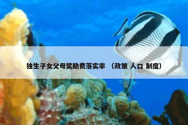 省体育中心是什么意思？相关省体育中心一起来看看