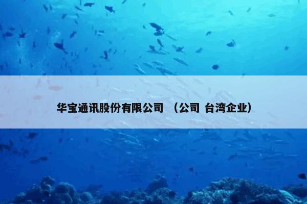 华宝通讯股份有限公司 （公司 台湾企业）