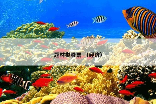 阜阳计算机学校是什么？有关阜阳计算机学校说明