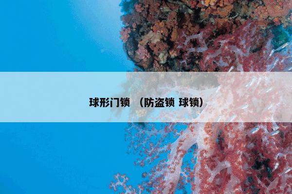 淡水海绵怎么理解？相关淡水海绵解说