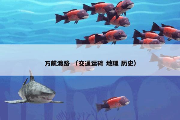 海绵床垫是什么意思？相关海绵床垫一起来了解