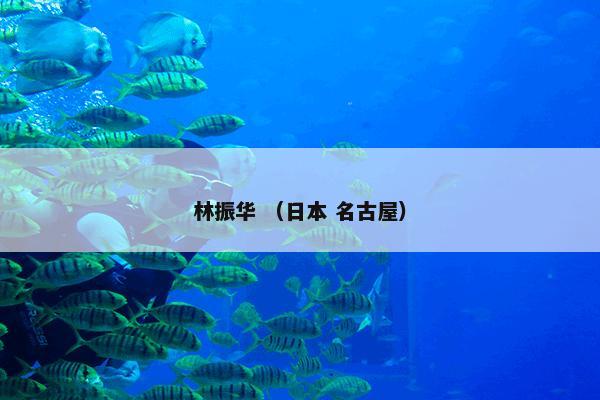 浏阳河大围山峡谷漂流怎么理解？关于浏阳河大围山峡谷漂流说明