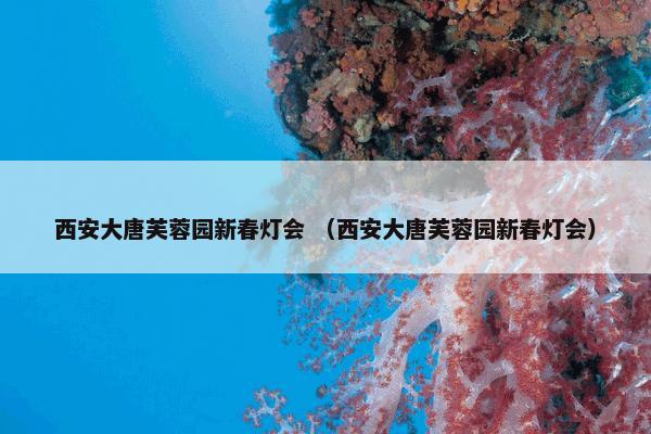 西安大唐芙蓉园新春灯会是什么意思？相关西安大唐芙蓉园新春灯会一起来了解