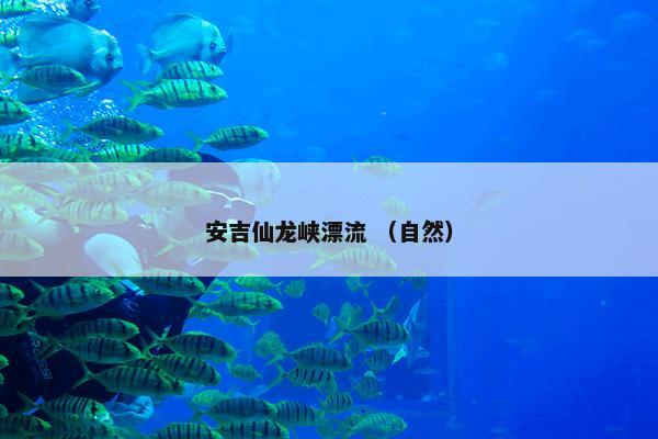 安吉仙龙峡漂流怎么理解？关于安吉仙龙峡漂流解说