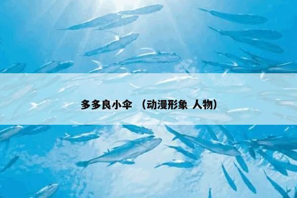 多多良小伞是什么意思？相关多多良小伞一起来了解